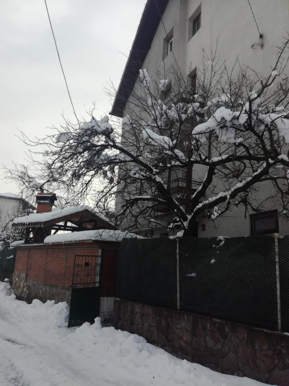 Topuzovi Guest House Dobrinishte Exterior foto